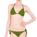 Green Curves Athletic Bikini Set View1