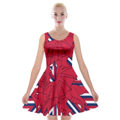 Alternatively Mega British America Red Dragon Velvet Skater Dress by Mariart