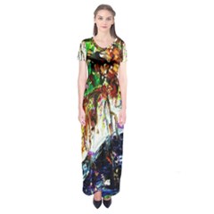 Gatchina Park 1 Short Sleeve Maxi Dress by bestdesignintheworld