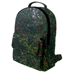 Apple Tree Close Up Flap Pocket Backpack (small) by bloomingvinedesign