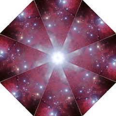 Christmas Tree Cluster Red Stars Nebula Constellation Astronomy Golf Umbrellas by genx