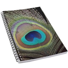 Peacock Feather Close Up Macro 5 5  X 8 5  Notebook by Pakrebo