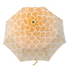 Background Skin Dragon Folding Umbrellas by HermanTelo