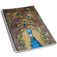 Bird Peacock Feather 5 5  X 8 5  Notebook by HermanTelo