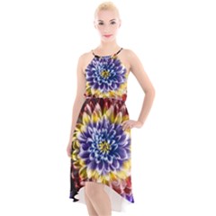 Rainbow Chrysanthemum High-low Halter Chiffon Dress  by bloomingvinedesign