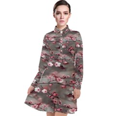 Realflowers Long Sleeve Chiffon Shirt Dress by Sparkle