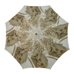 Apollo And Daphne Bernini Masterpiece, Italy Golf Umbrellas by dflcprintsclothing
