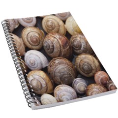 Snail Shells Pattern Arianta Arbustorum 5 5  X 8 5  Notebook by artworkshop