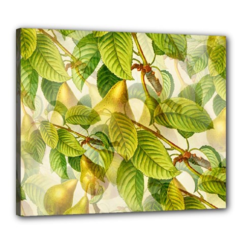 Pear Fruit Tree Organic Pattern Canvas 24  X 20  (stretched) by Wegoenart