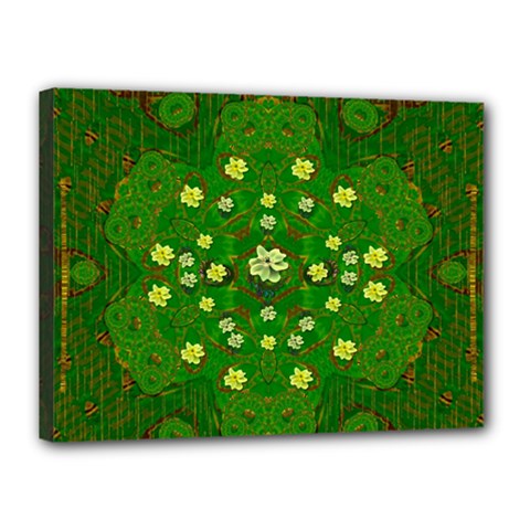Lotus Bloom In Gold And A Green Peaceful Surrounding Environment Canvas 16  X 12  (stretched) by pepitasart