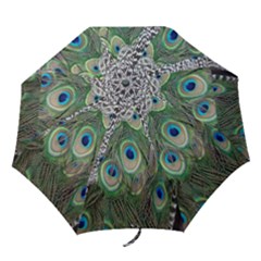 Peacock Bird Feather Colourful Folding Umbrellas by Jancukart