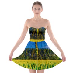 Different Grain Growth Field Strapless Bra Top Dress by Ravend