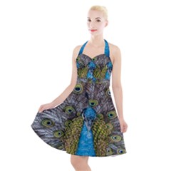 Peacock-feathers2 Halter Party Swing Dress  by nateshop