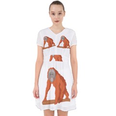 Orangutan T-shirtwhite Look Calm Orangutan 07 T-shirt (1) Adorable In Chiffon Dress by EnriqueJohnson