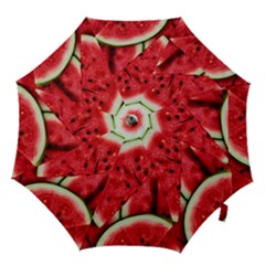 Watermelon Fruit Green Red Hook Handle Umbrellas (medium) by Bedest