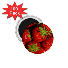 Strawberry  1 75  Button Magnet (100 Pack) by Siebenhuehner