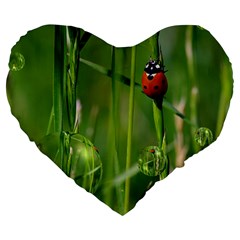 Ladybird 19  Premium Heart Shape Cushion by Siebenhuehner