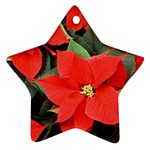 POINSETTIA Star Ornament (Two Sides)  Back