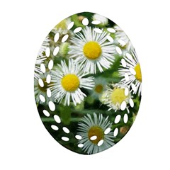 White Summer Flowers Watercolor Painting Art Ornament (oval Filigree)  by picsaspassion