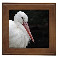 Stork Bird Framed Tiles by picsaspassion