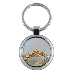 Cornfield Key Chains (round)  by picsaspassion