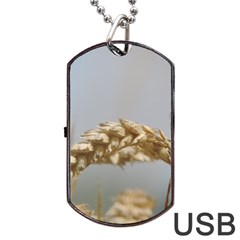 Cornfield Dog Tag Usb Flash (one Side) by picsaspassion