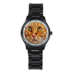 Cat Red Cute Mackerel Tiger Sweet Stainless Steel Round Watch by Nexatart