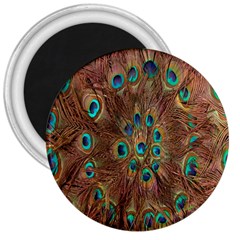 Peacock Pattern Background 3  Magnets by Simbadda