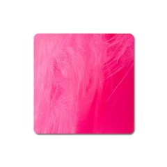 Very Pink Feather Square Magnet by Simbadda