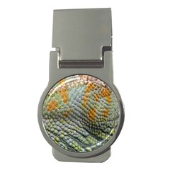 Macro Of Chameleon Skin Texture Background Money Clips (round)  by Simbadda