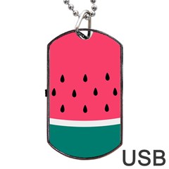 Watermelon Red Green White Black Fruit Dog Tag Usb Flash (two Sides) by Mariart