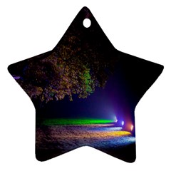 Illuminated Trees At Night Star Ornament (two Sides) by Nexatart