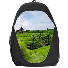 Bali Rice Terraces Landscape Rice Backpack Bag by Nexatart