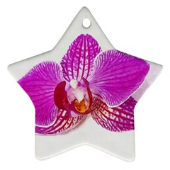Lilac Phalaenopsis Flower, Floral Oil Painting Art Ornament (star) by picsaspassion
