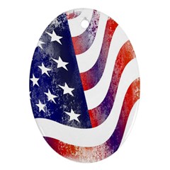 Usa Flag America American Ornament (oval) by Celenk