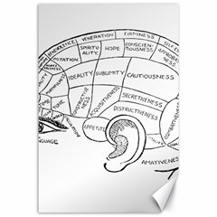 Brain Chart Diagram Face Fringe Canvas 24  X 36  by Celenk