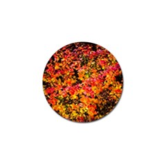 Orange, Yellow Cotoneaster Leaves In Autumn Golf Ball Marker (4 Pack) by FunnyCow
