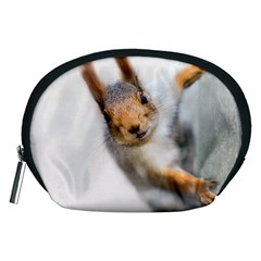 Curious Squirrel Accessory Pouches (medium)  by FunnyCow