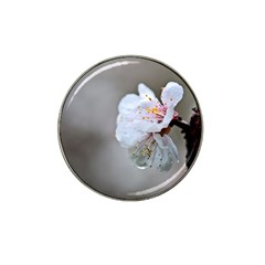 Rainy Day Of Hanami Season Hat Clip Ball Marker (10 Pack) by FunnyCow
