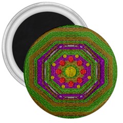 Flowers In Rainbows For Ornate Joy 3  Magnets by pepitasart