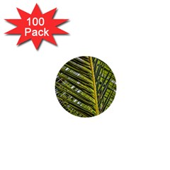 Palm Fronds Palm Palm Leaf Plant 1  Mini Buttons (100 Pack)  by Wegoenart
