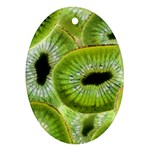 Sliced Kiwi Fruits Green Ornament (Oval) Front