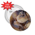 Close Up Mushroom Abstract 2.25  Buttons (100 pack)  Front