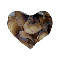 Close Up Mushroom Abstract Standard 16  Premium Heart Shape Cushions by Fractalsandkaleidoscopes