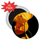 Yellow Poppies 2.25  Magnets (10 pack)  Front