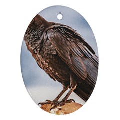 Black Crow Standing At Rock Ornament (oval) by dflcprintsclothing