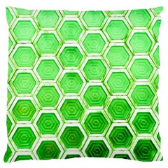 Hexagon Windows Standard Flano Cushion Case (one Side) by essentialimage365