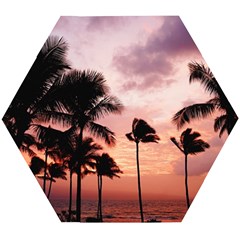 Palm Trees Wooden Puzzle Hexagon by LW323