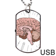 Cerebrum Human Structure Cartoon Human Brain Dog Tag Usb Flash (one Side) by Sapixe