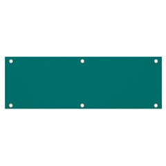 Color Teal Banner And Sign 6  X 2  by Kultjers